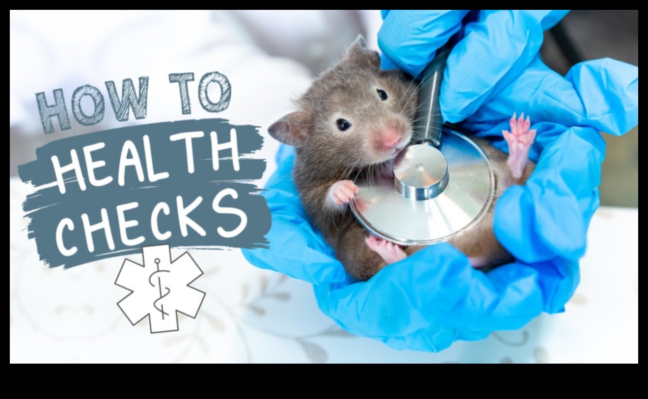 בדיקת בריאות אוגר: ​​בדיקות רגילות וטיפים לניטור