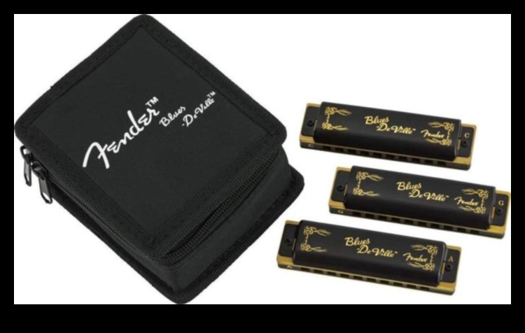 Harmonic Haven: רעיונות למתנות מוזיקליות ליום ולנטיין מלודי