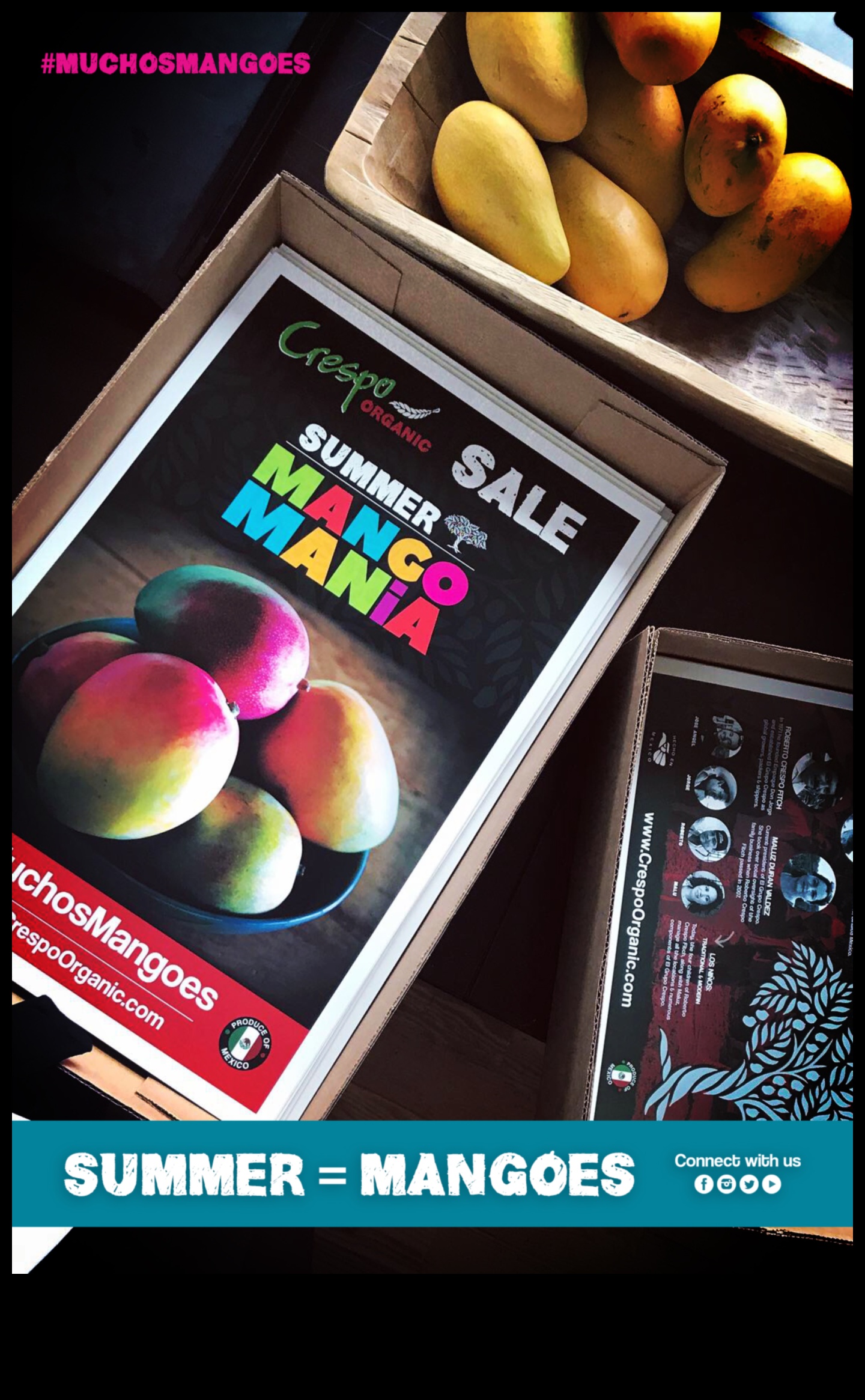 מנגו מאניה: יצירות מנגו מקסיקניות מתוקות ומלוחות