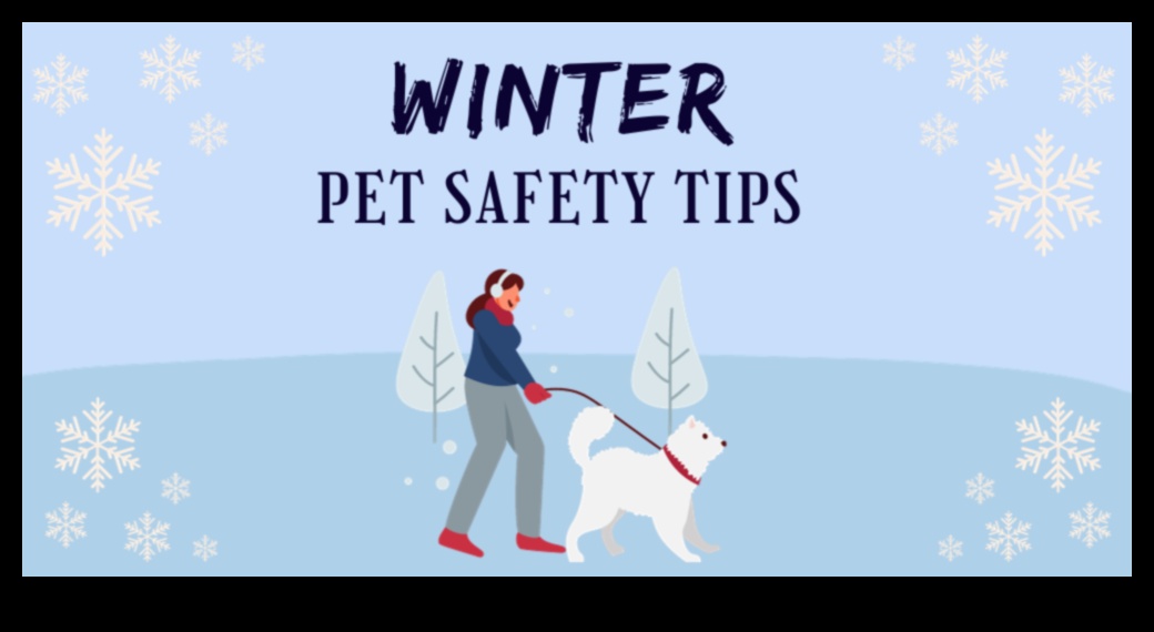 ארץ הפלאות החורף: הכנת חיית המחמד שלך למזג אוויר קר