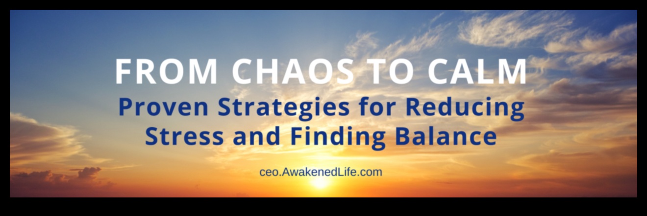 רגוע בתוך כאוס: ניווט שלווה פנימית עם הפגת מתחים