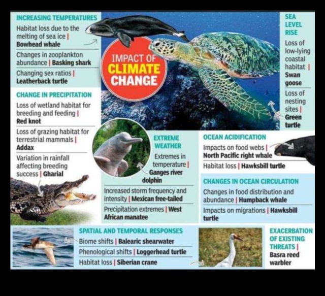 ציפורים ושינויי אקלים: השפעה על הגירה ובתי גידול