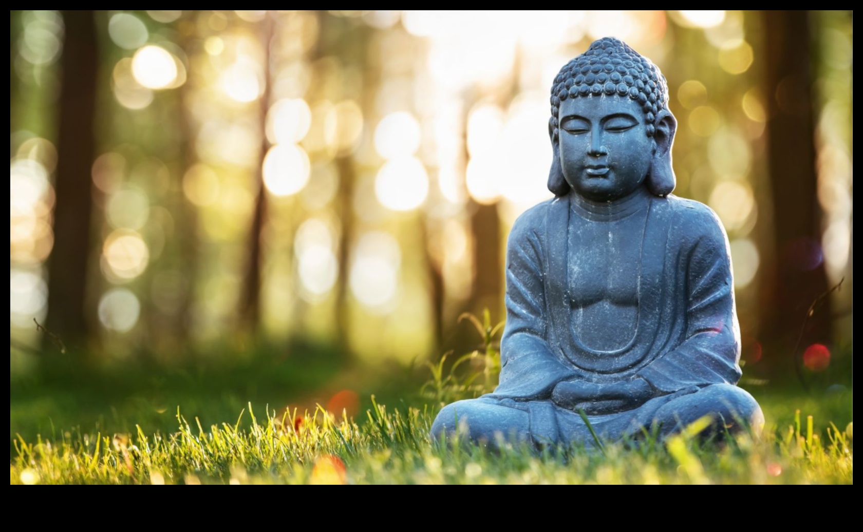 חכמים ושקט: חשיפת המדיטציה