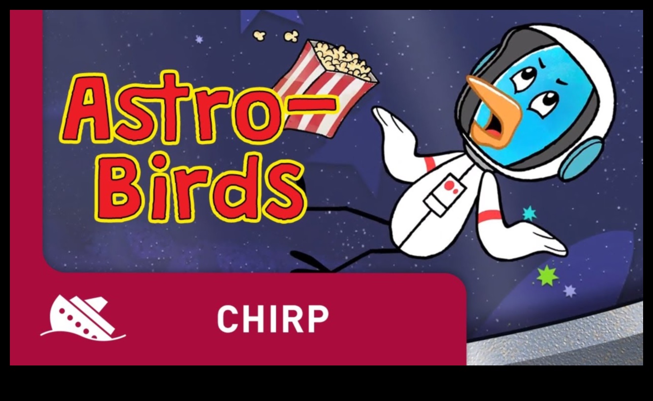 ציוץ כרוניקה: התנהגות ציפורים לאורך עונות השנה