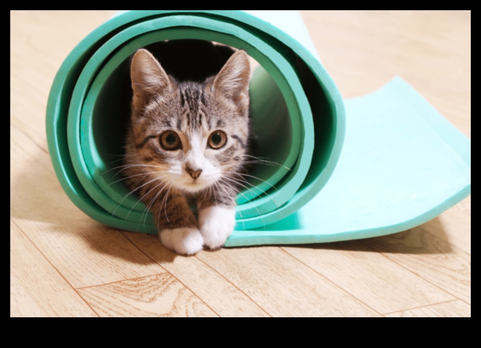 Cat Craft Corner: פרויקטים יצירתיים להעשרה בחתולים