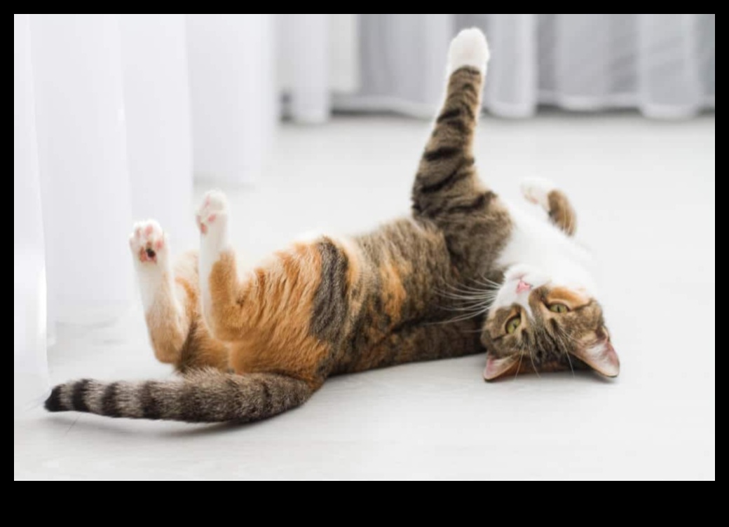 המשך כרוניקות של חתולים: ניהול קולות חתולים