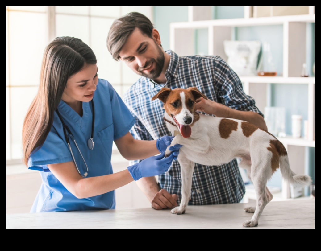 צמד דינמי: להבין ולטפח את הקשר שלך עם הכלב שלך