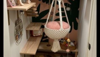 Cat Craft Corner: פרויקטים יצירתיים להעשרה בחתולים