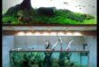 Fish Tank Zen המשך: שילוב צמחים לתחושה טבעית
