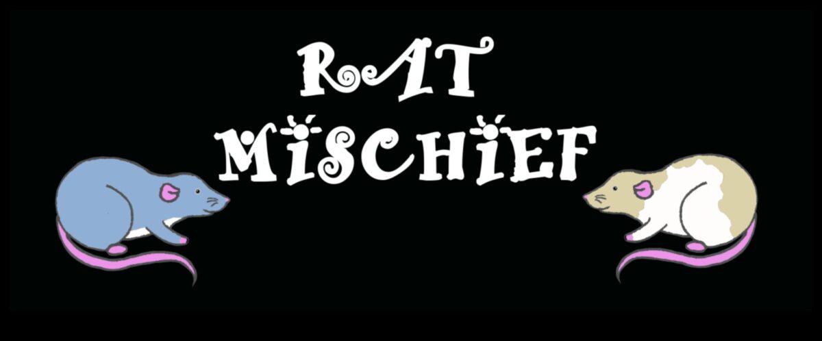 Mousey Mischief: משחקים משעשעים למכרסמים קטנים