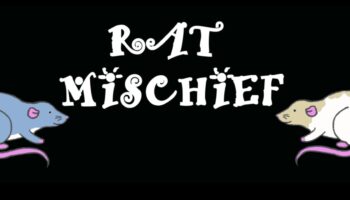 Mousey Mischief: משחקים משעשעים למכרסמים קטנים