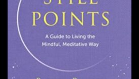 נקודת הדומם: חקר לב ליבה של מיינדפולנס