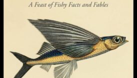 משלים עם סנפיר: דגים במיתולוגיה וסיפורי עם ברחבי העולם