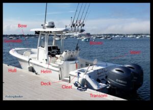 Angler's Anatomy: הבנת האנטומיה של דגי ספורט פופולריים