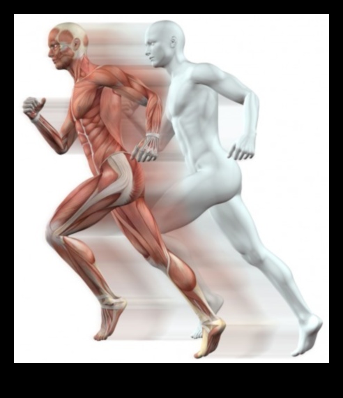 חיזוק העצם: תפקידה של פעילות גופנית בשמירה על בריאות השלד והצפיפות