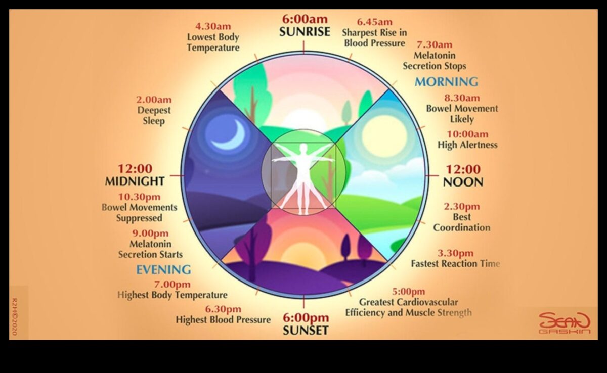 מקצבי הרפיה: טיפוח הרמוניה בין גוף לנפש בכל יום