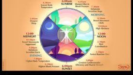 מקצבי הרפיה: טיפוח הרמוניה בין גוף לנפש בכל יום