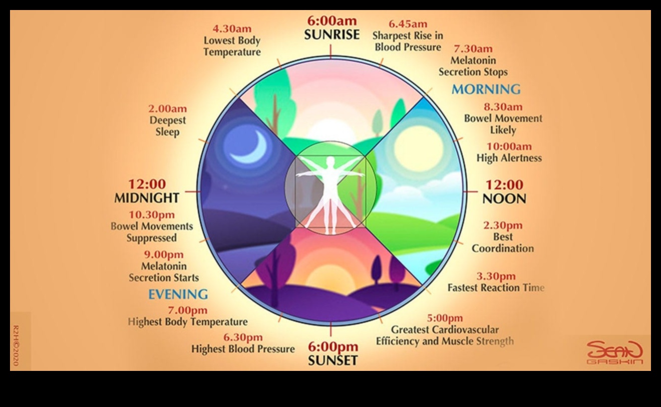 מקצבי הרפיה: טיפוח הרמוניה בין גוף לנפש בכל יום