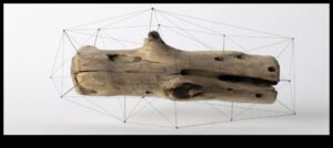 עיצוב להשפעה ירוקה: אמנות שמותירה רושם מתחדש