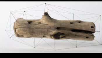 עיצוב להשפעה ירוקה: אמנות שמותירה רושם מתחדש