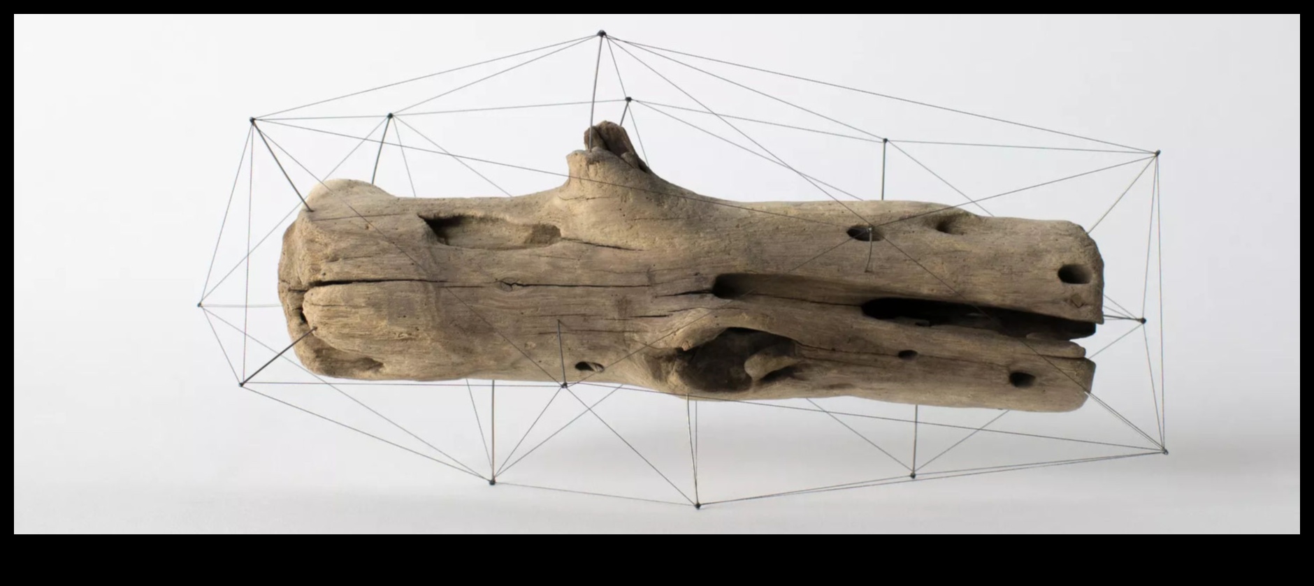 עיצוב להשפעה ירוקה: אמנות שמותירה רושם מתחדש