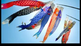 המשך פולקלור דגי: אמונות טפלות ואמונות על דגים