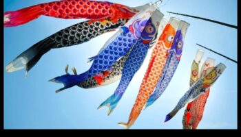 המשך פולקלור דגי: אמונות טפלות ואמונות על דגים