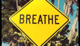 רגוע בתוך כאוס: ניווט שלווה פנימית עם הפגת מתחים