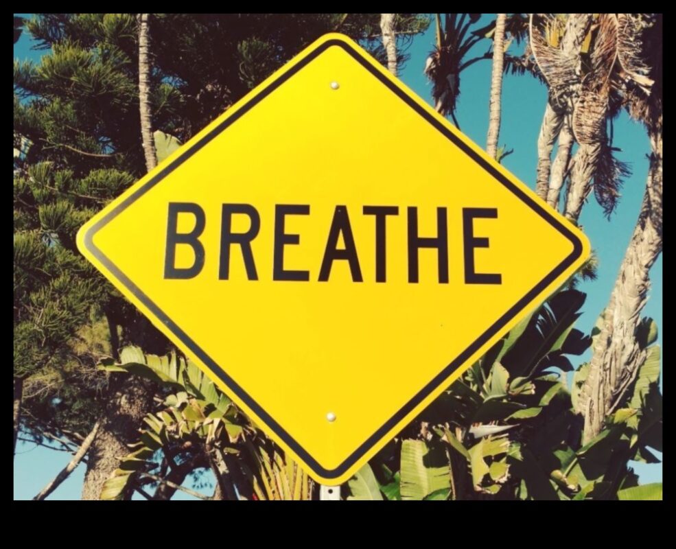 רגוע בתוך כאוס: ניווט שלווה פנימית עם הפגת מתחים